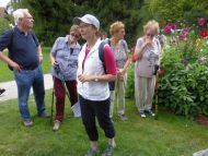 2017_AOSen_8_Wand_Gartenschau (23).JPG