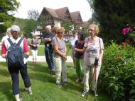 2017_AOSen_8_Wand_Gartenschau (25).JPG