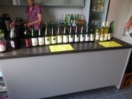 2016_7_Pfalz (09).JPG