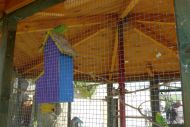 2017_AOSen_3_Wand_Boellstrichsee033.JPG