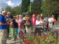 2017_AOSen_8_Wand_Gartenschau (10).JPG