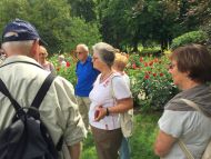 2017_AOSen_8_Wand_Gartenschau (21).JPG