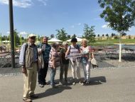 2019_6_BUGA Heilbronn_Juni_26.JPG