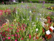 2017_AOSen_8_Wand_Gartenschau (17).JPG