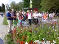 2017_AOSen_8_Wand_Gartenschau (16).JPG