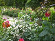 2017_AOSen_8_Wand_Gartenschau (26).JPG