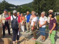 2017_AOSen_8_Wand_Gartenschau (18).JPG
