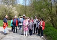 2016_4_Wand_Corres05.JPG