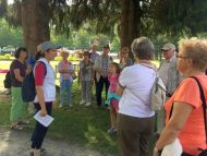 2017_AOSen_8_Wand_Gartenschau (06).JPG