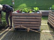 2017_AOSen_8_Wand_Gartenschau (12).JPG