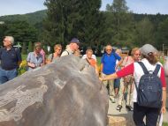 2017_AOSen_8_Wand_Gartenschau (19).JPG